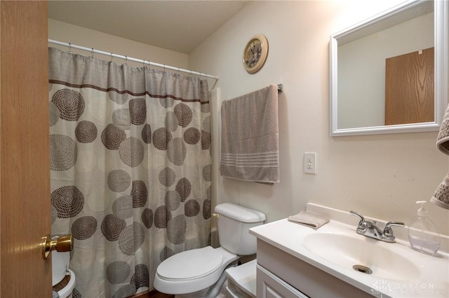 1646 Bell Hollow Rd, Hillsboro, OH 45133 - bathroom featuring toilet, vanity, and a shower with curtain