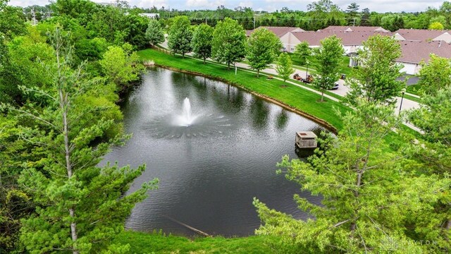 325 Bending Branch Ln, Miamisburg, OH 45342 - water view with a tree filled landscape