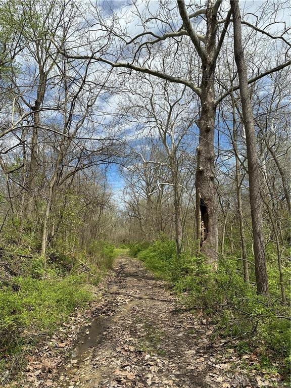 0 127, Eaton, OH 45320 - photo 4