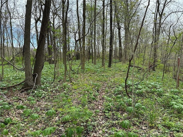 0 127, Eaton, OH 45320 - photo 15