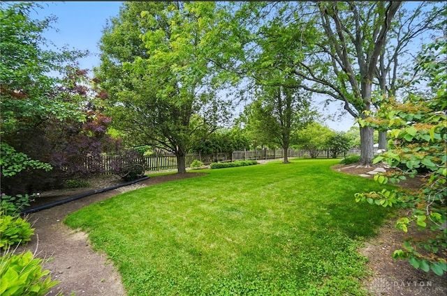 1403 Timshel St, Sugarcreek Township, OH 45440 - view of yard
