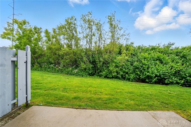 9235 Great Lakes Cir, Washington Twp, OH 45458 - view of grassy yard