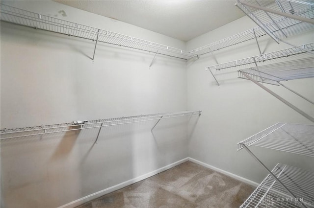9235 Great Lakes Cir, Washington Twp, OH 45458 - spacious closet featuring carpet flooring