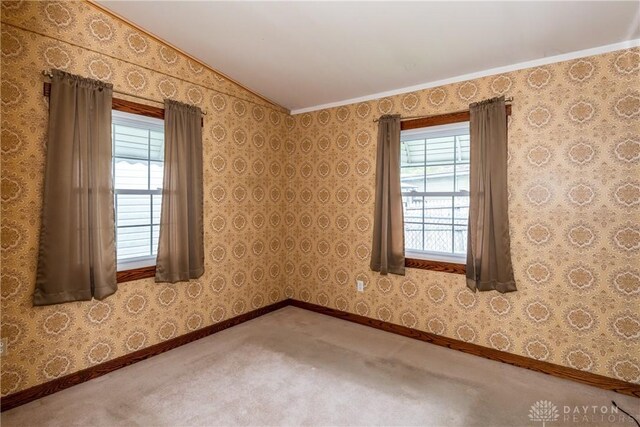 903 Kennison Ave, New Carlisle, OH 45344 - carpeted empty room featuring healthy amount of natural light, crown molding, lofted ceiling, and baseboards