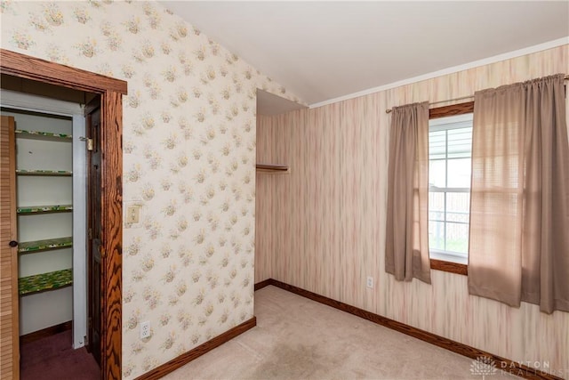 903 Kennison Ave, New Carlisle, OH 45344 - spare room featuring carpet flooring, baseboards, and vaulted ceiling