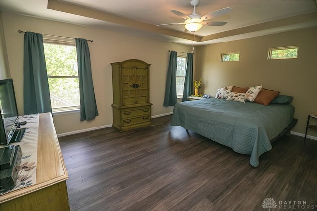 1331 Peregrine Way, Hamilton, OH 45013 - bedroom featuring a raised ceiling, dark wood finished floors, and multiple windows