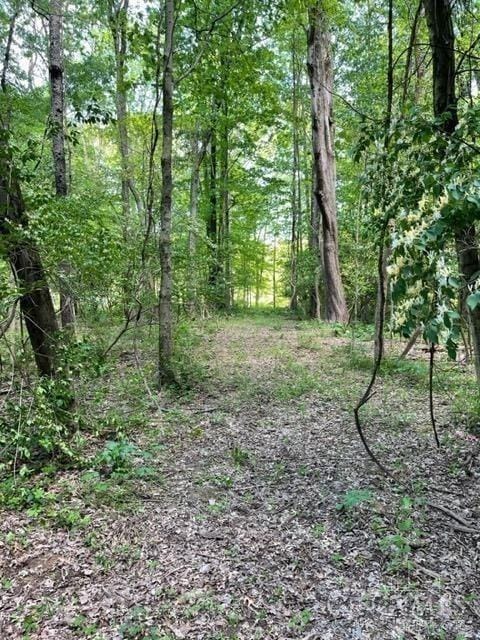 3526 Starling Rd, Bethel Twp, OH 45106 - photo 3