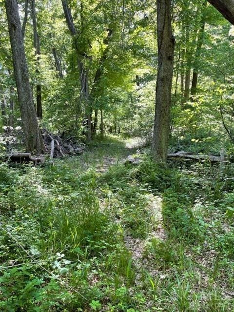 3526 Starling Rd, Bethel Twp, OH 45106 - photo 6