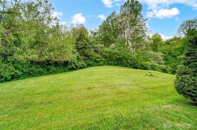 5829 Watt Rd, Camden, OH 45311 - view of green lawn