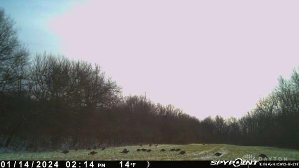 0 N State Route 121, New Paris, OH 45347