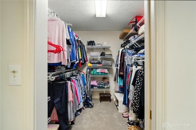 10550 Willow Brook Rd, Dayton, OH 45458 - walk in closet with carpet