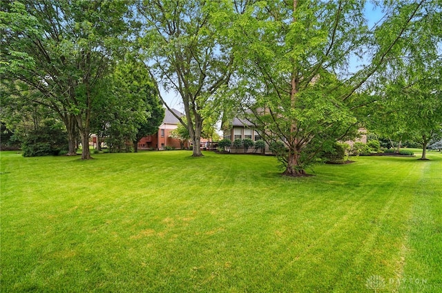10550 Willow Brook Rd, Dayton, OH 45458 - view of grassy yard