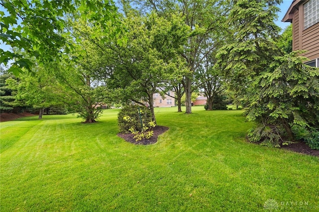 10550 Willow Brook Rd, Dayton, OH 45458 - photo 40