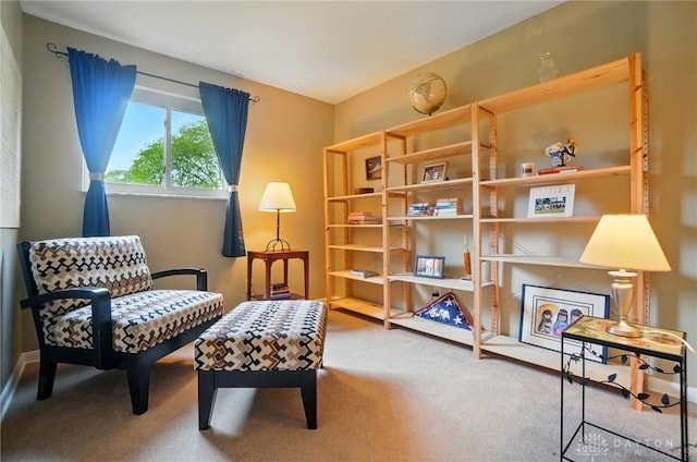 600 Deauville Dr, Washington Twp, OH 45429 - sitting room with carpet floors