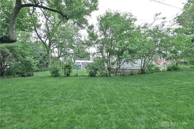 407 Claranna Ave, Oakwood, OH 45419 - view of yard