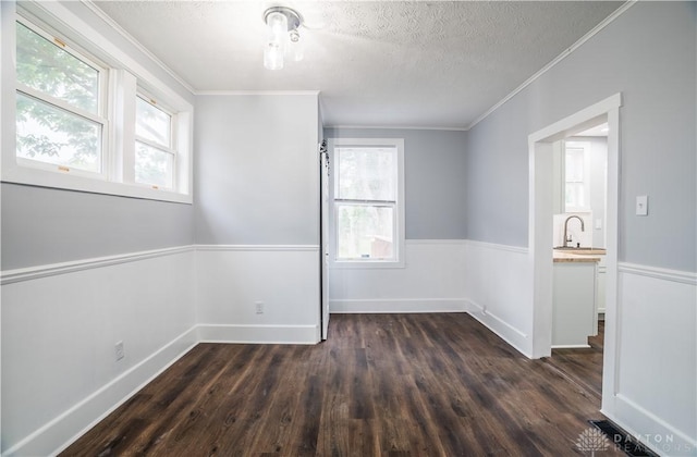 522 Pennsylvania Ave, Troy, OH 45373 - spare room with a wainscoted wall, dark wood-style flooring, crown molding, a sink, and a textured ceiling