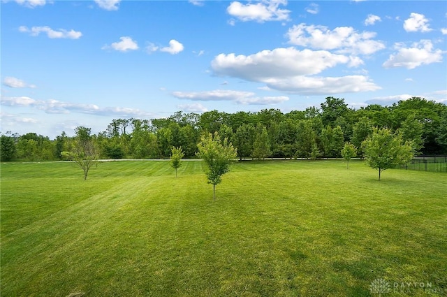 9752 Crooked Creek Dr, Centerville, OH 45458 - view of yard