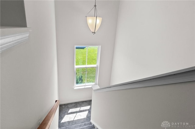 109 Waterford Blvd, Fairborn, OH 45324 - stairs featuring carpet flooring and baseboards