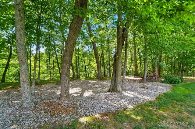 7757 Misty Meadows Ct, Morrow, OH 45152 - photo 83