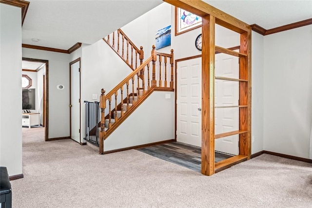 360 Merrick Dr, Beavercreek, OH 45434 - staircase with carpet, ornamental molding, baseboards, and radiator