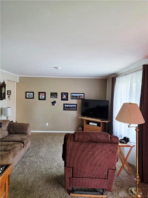 1008 Terracewood Dr, Englewood, OH 45322 - living area with carpet floors, ornamental molding, and baseboards