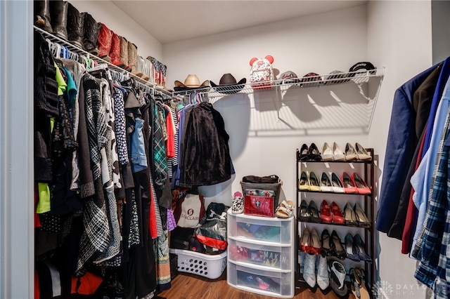 6709 Crystal Harbour Dr, Middletown, OH 45042 - walk in closet with wood finished floors