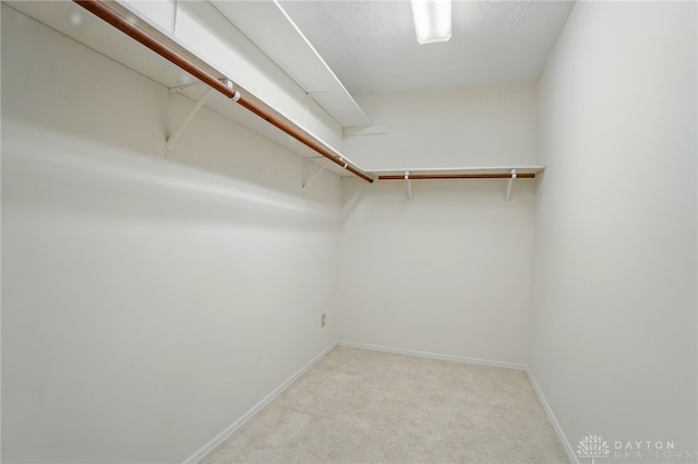348 Cambridge Dr, Fairborn, OH 45324 - walk in closet featuring light carpet