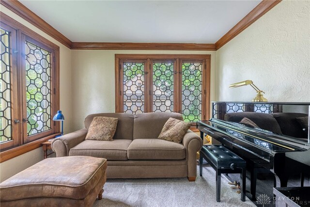 54 Beverly Pl, Oakwood, OH 45419 - living room with crown molding, carpet floors, and a textured wall