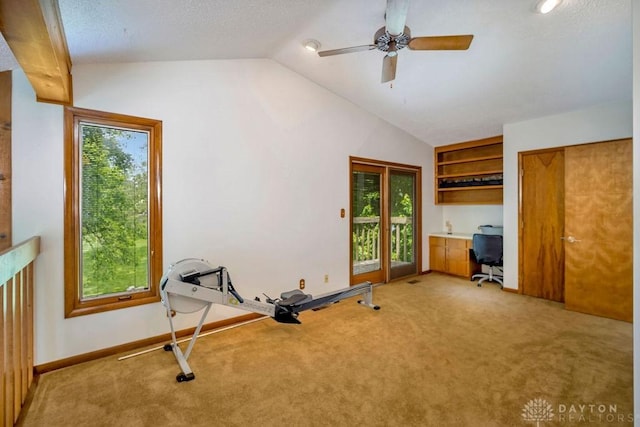 4723 Rosedale Rd, Middletown, OH 45042 - workout area with lofted ceiling, light carpet, plenty of natural light, and ceiling fan