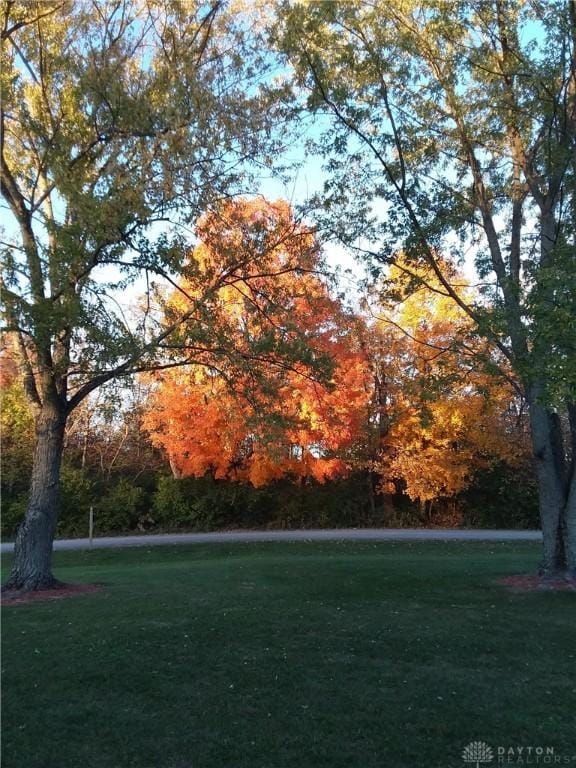 343 White Oak Dr, Chester Twp, OH 45177 - view of home's community with a yard