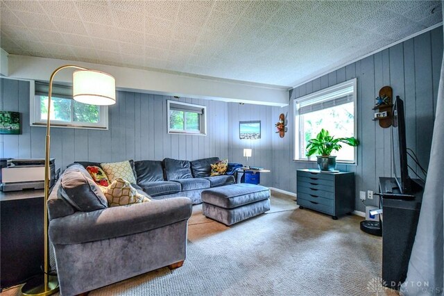 200 Maysfield Rd, Oakwood, OH 45419 - carpeted living room with wooden walls