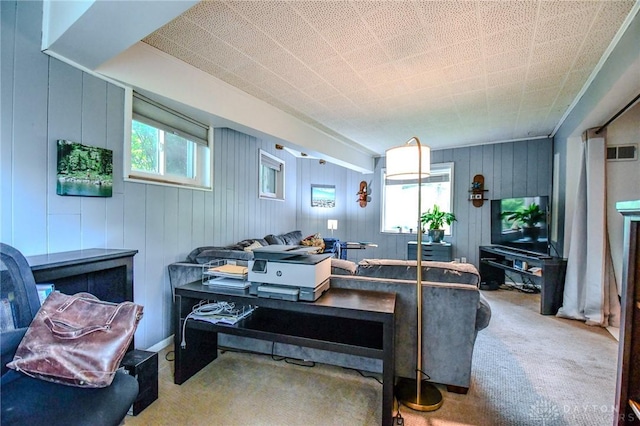 200 Maysfield Rd, Oakwood, OH 45419 - living room with carpet and wood walls
