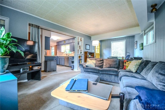 200 Maysfield Rd, Oakwood, OH 45419 - living area featuring light colored carpet