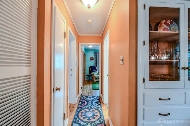 200 Maysfield Rd, Oakwood, OH 45419 - hall with crown molding, baseboards, and radiator