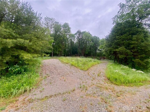 34292 State Route 41, Peebles, OH 45660 - photo 13