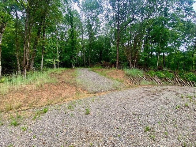 34292 State Route 41, Peebles, OH 45660 - photo 14