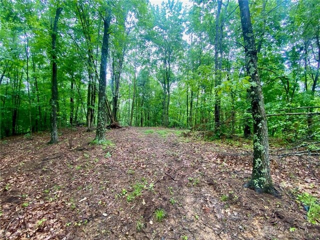 34292 State Route 41, Peebles, OH 45660 - photo 5