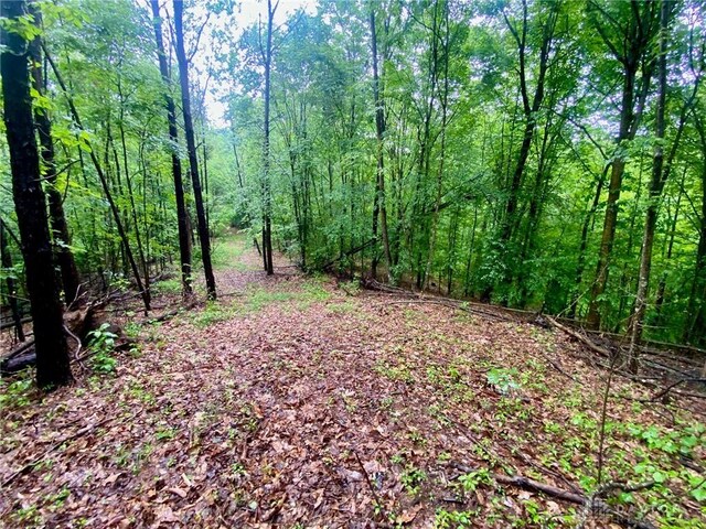 34292 State Route 41, Peebles, OH 45660 - photo 6