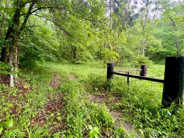 34292 State Route 41, Peebles, OH 45660 - photo 16