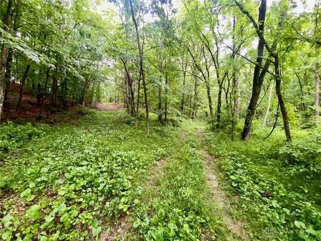 34292 State Route 41, Peebles, OH 45660 - photo 17
