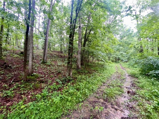 34292 State Route 41, Peebles, OH 45660 - photo 19