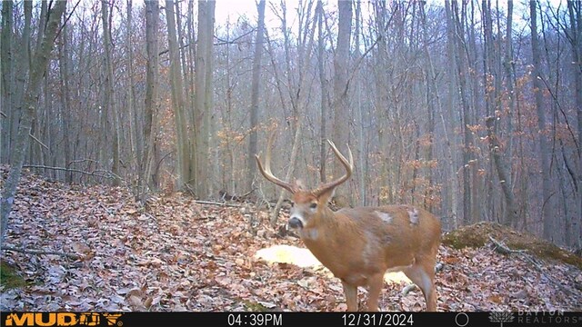 34292 State Route 41, Peebles, OH 45660 - photo 10