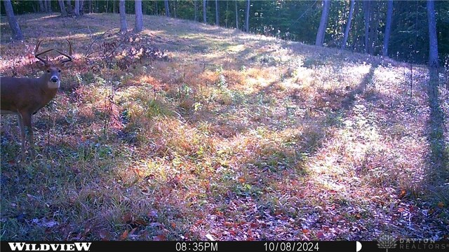 34292 State Route 41, Peebles, OH 45660 - photo 21
