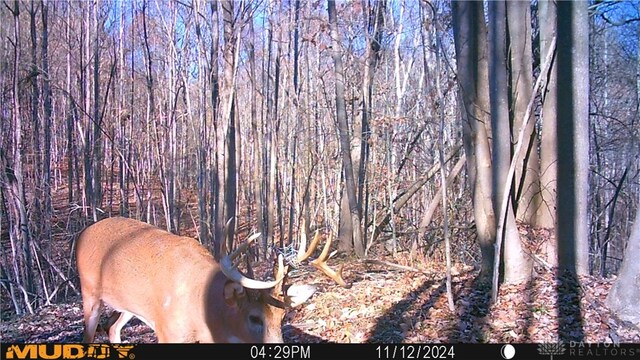 34292 State Route 41, Peebles, OH 45660 - photo 9