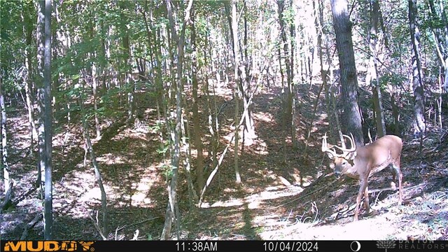 34292 State Route 41, Peebles, OH 45660 - photo 23