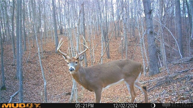 34292 State Route 41, Peebles, OH 45660 - photo 24