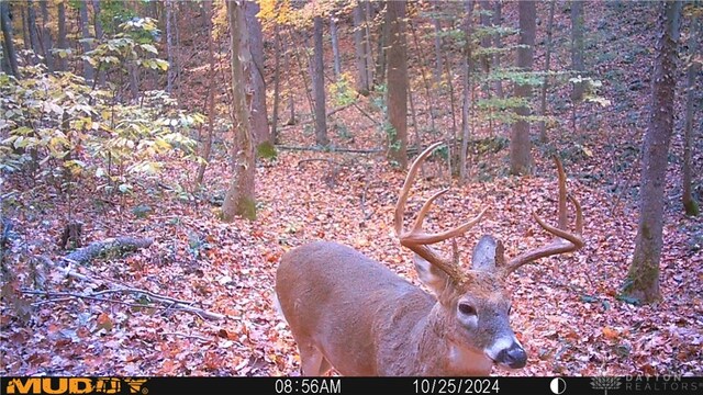 34292 State Route 41, Peebles, OH 45660 - photo 25