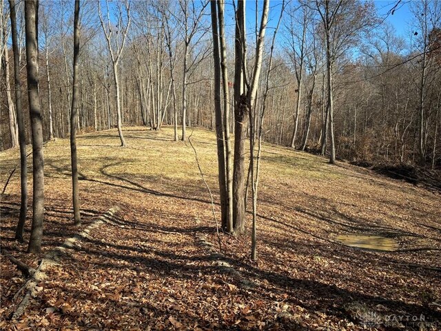 34292 State Route 41, Peebles, OH 45660 - photo 7