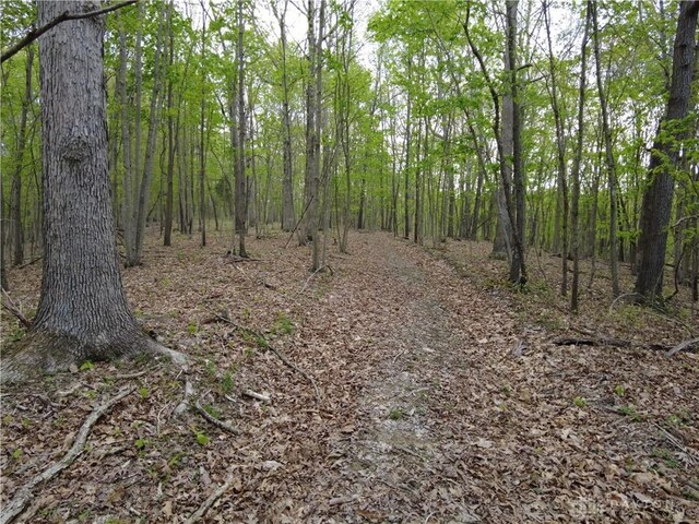 34292 State Route 41, Peebles, OH 45660 - photo 20