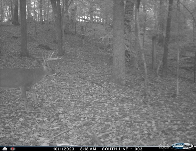 34292 State Route 41, Peebles, OH 45660 - photo 30